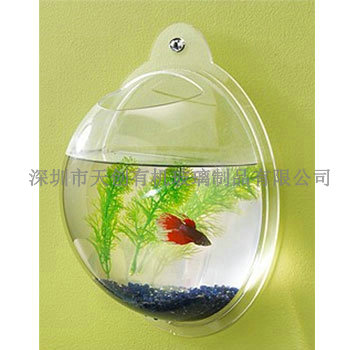 小型魚(yú)缸